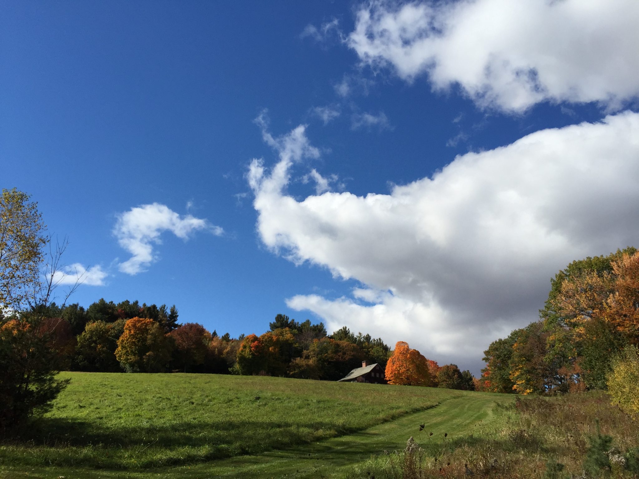 Back Roads Granola